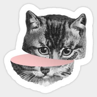 Cat Cut Face Sticker